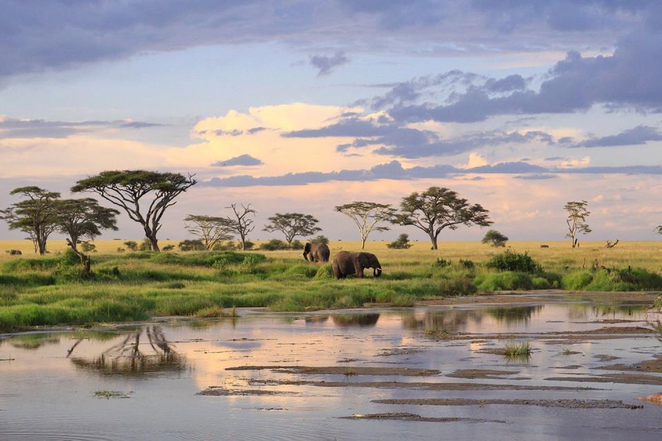 Serengeti National Park, Tanzania