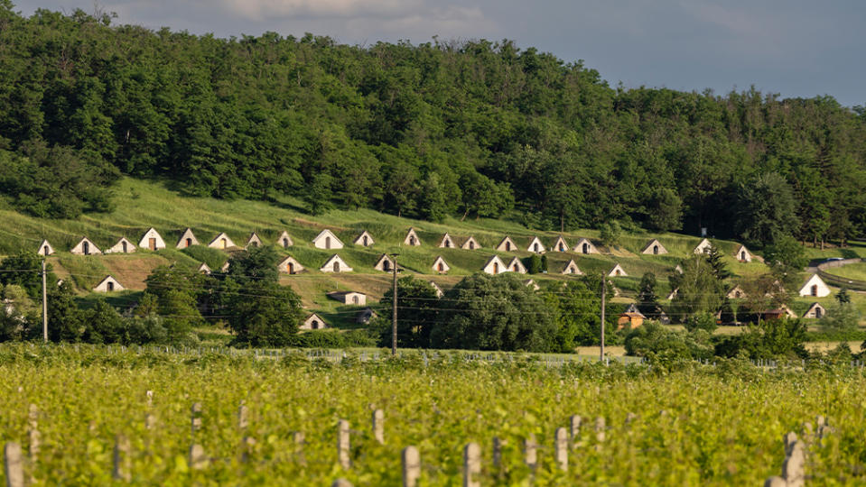 Traditional wine cellars (Gombos-hegyi pincesor) in Hercegkut, UNESCO site, Great Plain, North Hungary