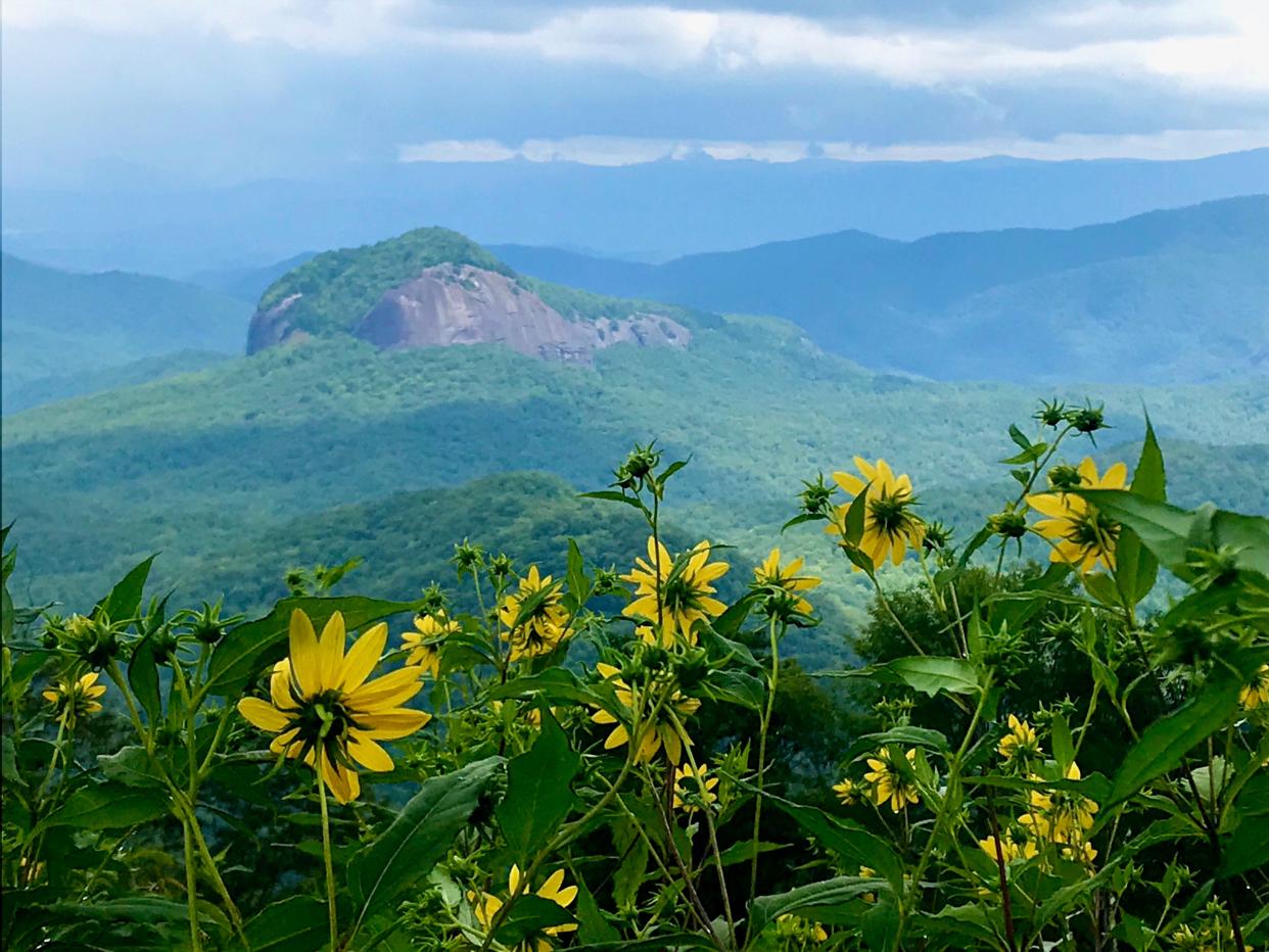 Looking Glass Rock in Asheville, North Carolina.