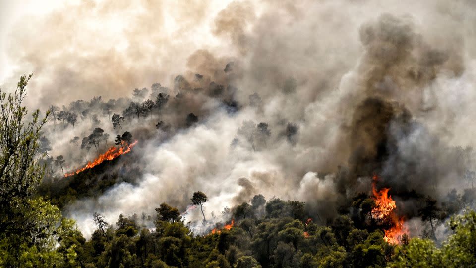 A wildfire burns at Sofiko near Corinth in Greece's Peloponnese region on July 17, 2024. - Vassilis Psomas/EPA-EFE/Shutterstock