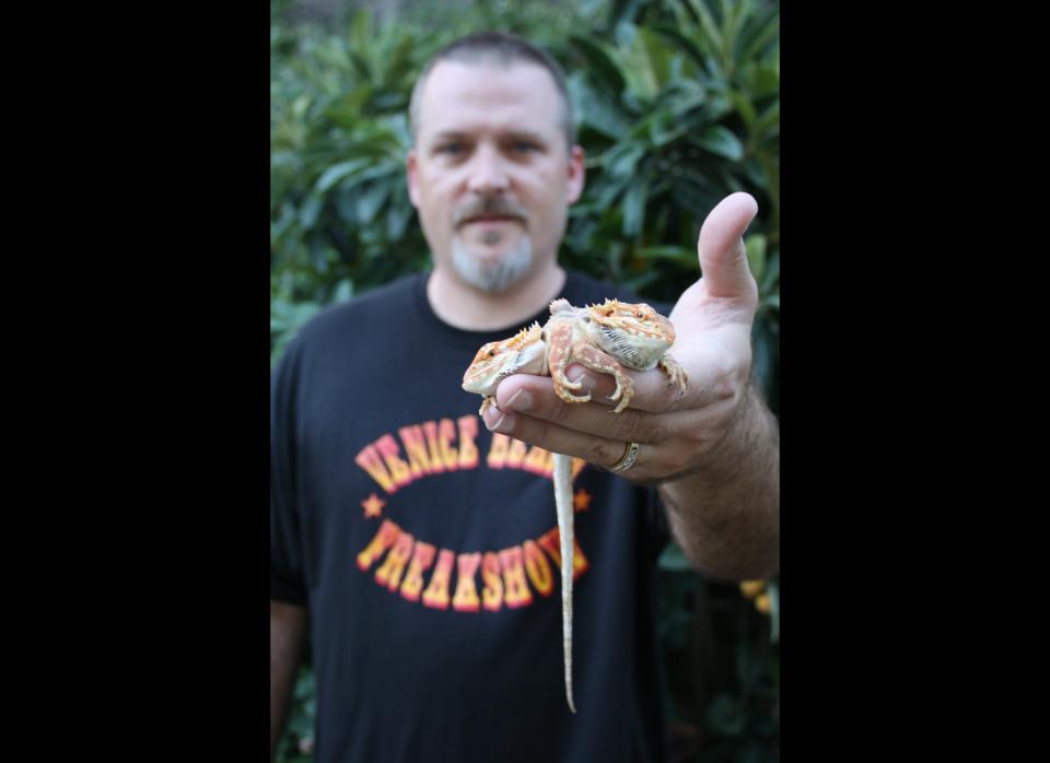 Ray plans to celebrate Pancho and Lefty's birthday by having a mariachi band seranade them at the Venice Beach Freakshow and by having a sword swallower gobble down three swords in their honor.