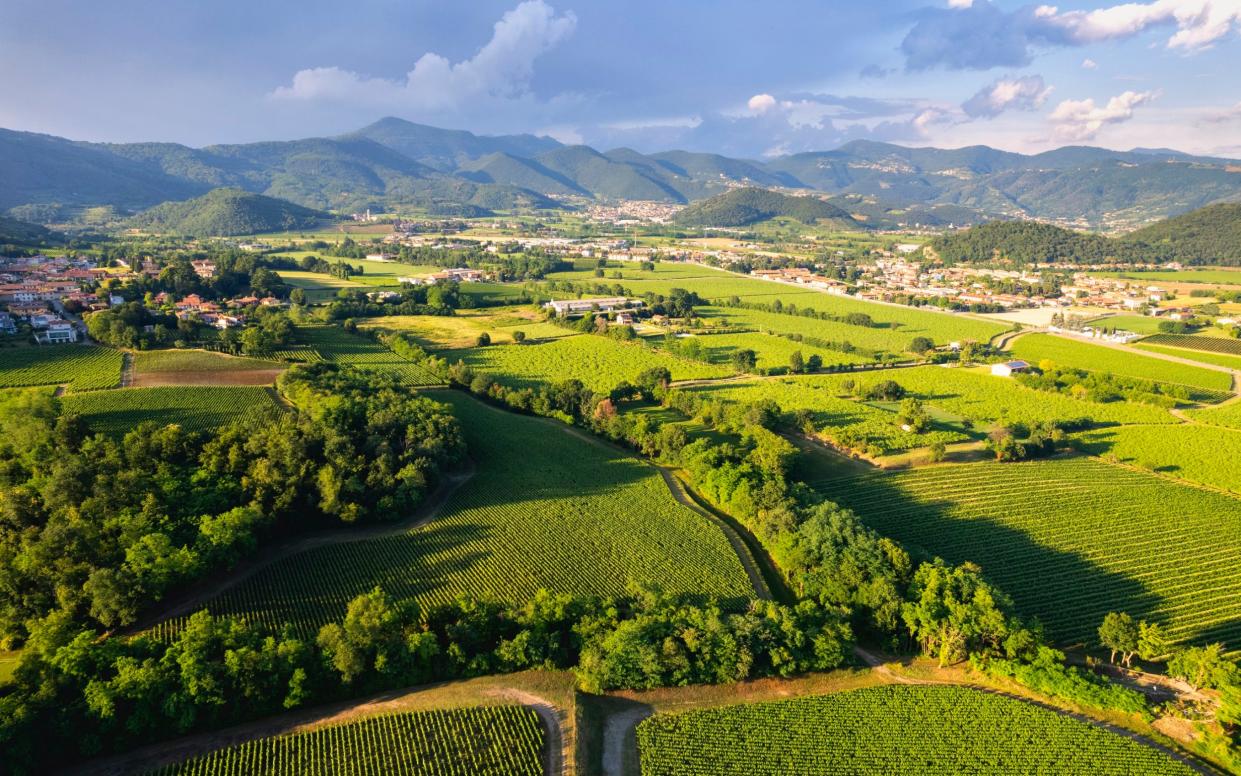The lush landscapes of Franciacorta in Lombardy, home to one of Italy's little-known wine-producing regions