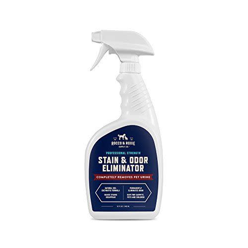 2) Professional Strength Stain & Odor Eliminator