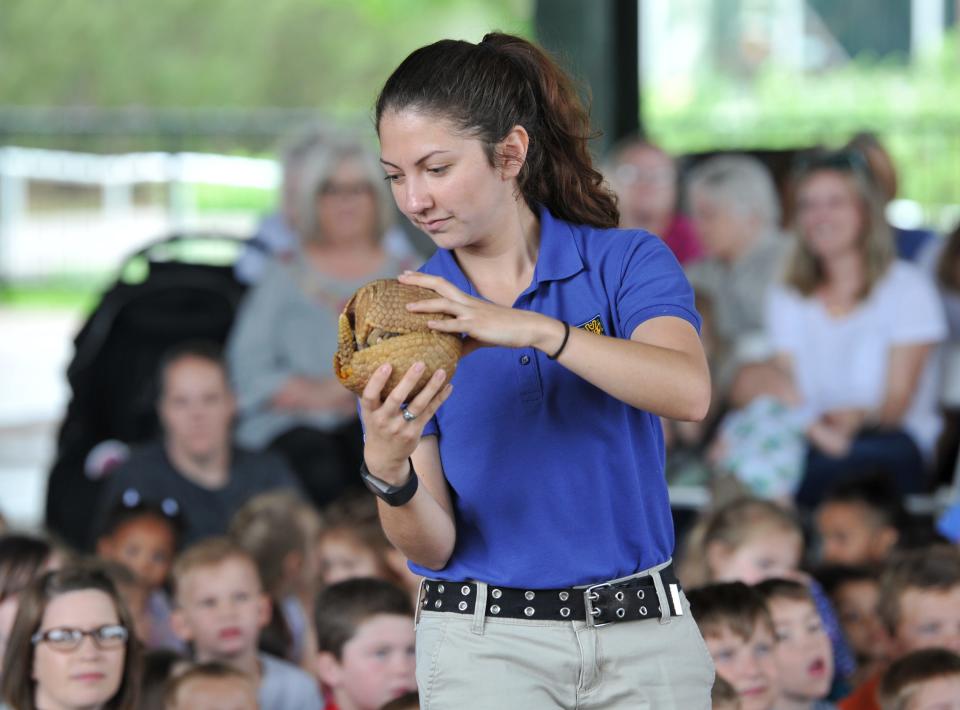 In this 2018 file photo, Dallas Zoo animal outreach specialist Dianne Rivas displays Titan the Armadillo to a group of children and parents at River Bend Nature Center.