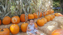 <p>Dream was happy to make the trek to a pumpkin patch <a rel="nofollow noopener" href="https://twitter.com/robkardashian?ref_src=twsrc%5Egoogle%7Ctwcamp%5Eserp%7Ctwgr%5Eauthor" target="_blank" data-ylk="slk:with dad Rob Kardashian;elm:context_link;itc:0;sec:content-canvas" class="link ">with dad Rob Kardashian</a>. Naturally, she wore gingham. (Photo: Twitter/Rob Kardashian) </p>