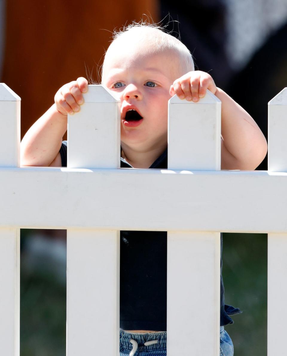 Zara and Mike Tindall Have a Fun Day Out with Their Kids