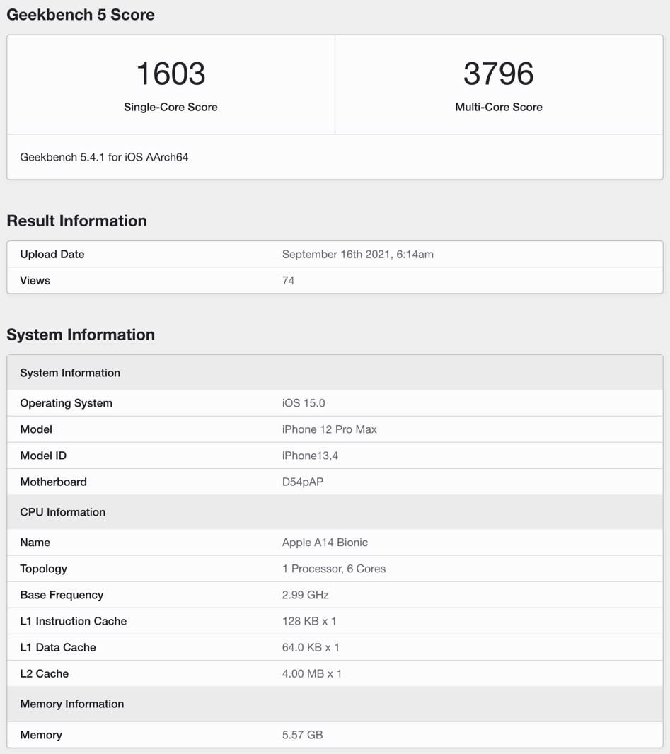 iPhone 12 Pro Max Geekbench 5 benchmark scores. - Credit: Geekbench 5