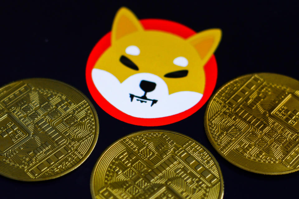 Shiba Inu cryptocurrency logo displayed on a screen and representation of cryptocurrencies are seen in this illustration photo taken in Krakow, Poland on June 29, 2021 (Photo Illustration by Jakub Porzycki/NurPhoto via Getty Images)