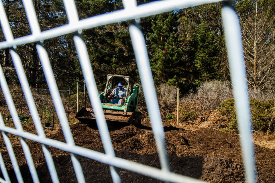 Joe Sarapochillo works the land. (Clara Mokri for NBC News)