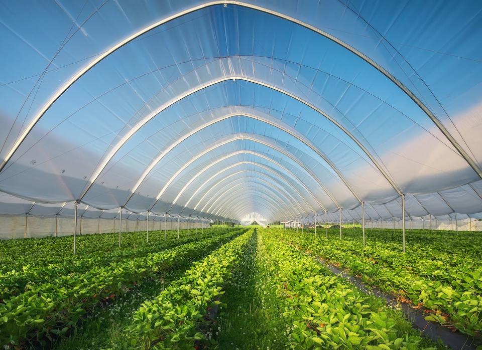 The greenhouse effect is well known and uncontroversial. Shutterstock