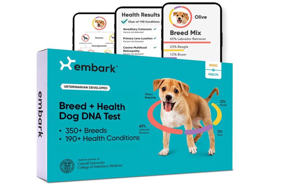 This Embark DNA test will give your favorite dog dad insights into his pup's breed, health, ancestry and more with just a quick swab of the cheek. <a href="https://www.amazon.com/Embark-Identification-Results-Genetic-Markers/dp/B01EINBA76" target="_blank" rel="noopener noreferrer">Get it for $149 at Amazon</a>.