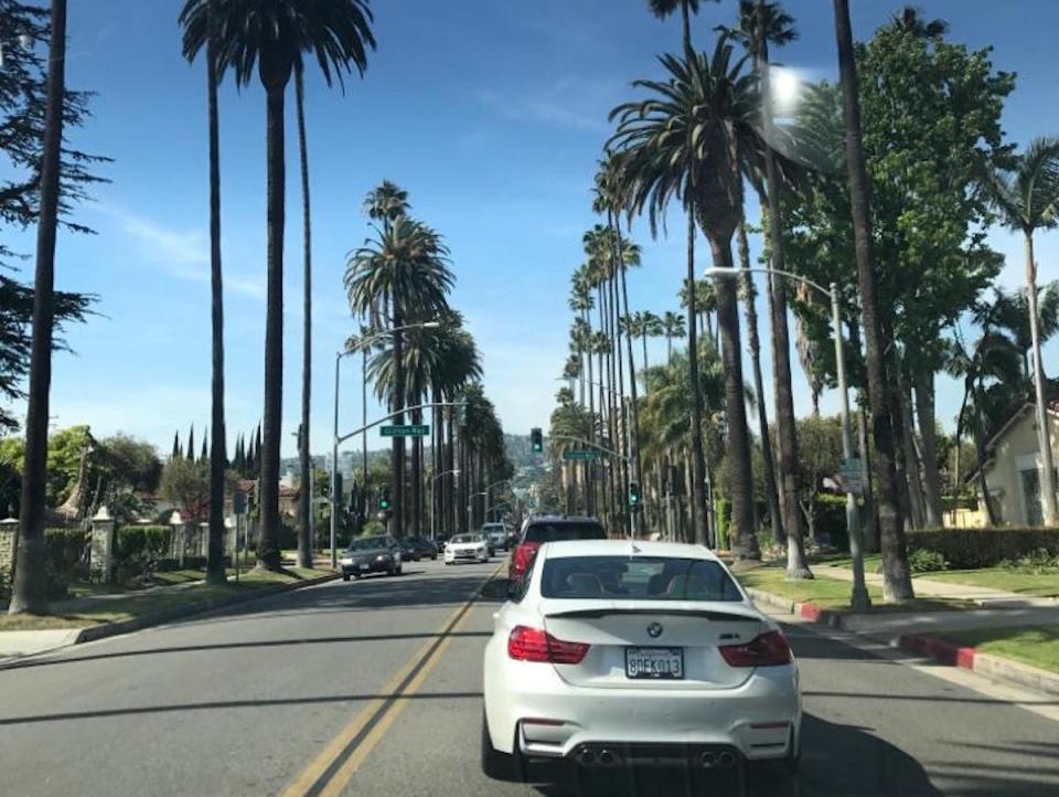 Car driving in Los Angeles through palm trees