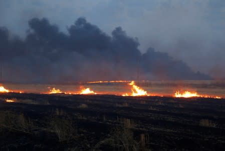 Fire and smoke rises from a wheat field on the outskirts of Mosul