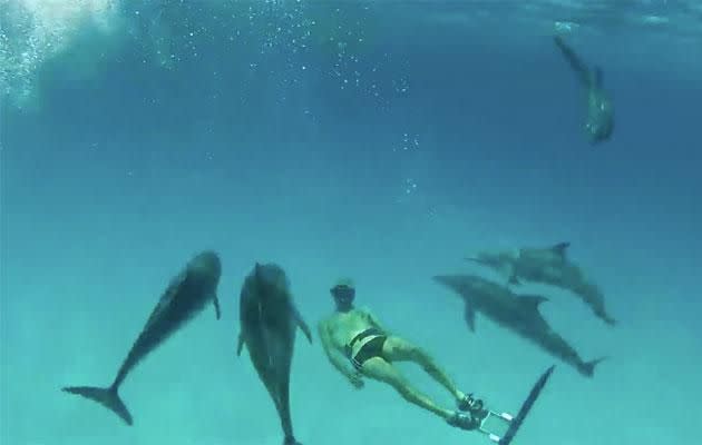 The divers couldn't believe their eyes. Photo: YouTube