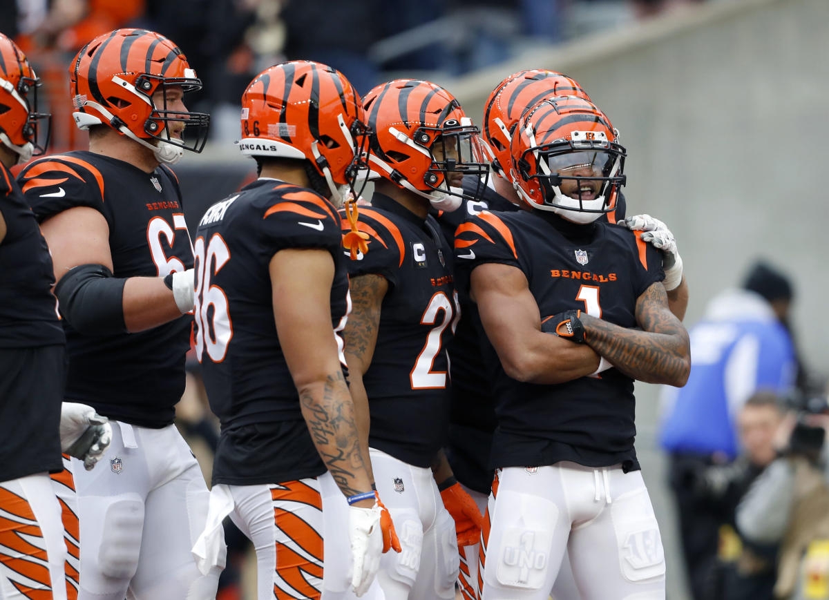 bengals win afc north