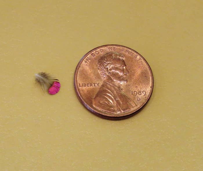 A 1989 U.S. penny is next to a small feather and a tiny pink and black object on a yellowish surface