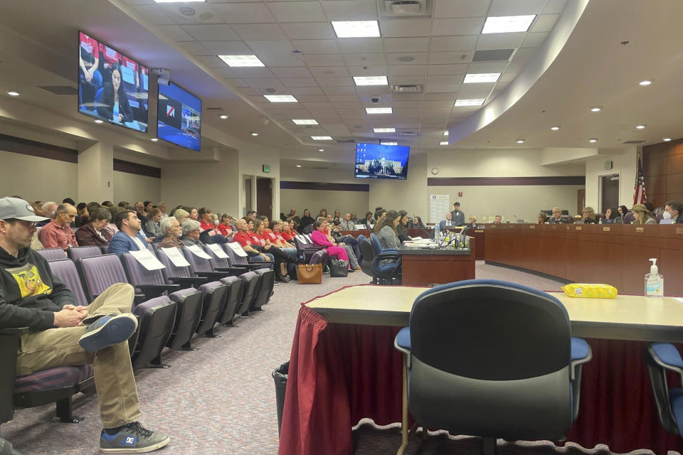 The Nevada state Senate and Assembly judiciary committees hold a joint hearing Thursday, April 6, 2023, in Carson City, Nev., to discuss three Democratic-backed gun control bills at the Nevada Legislature. (AP Photo/Gabe Stern)