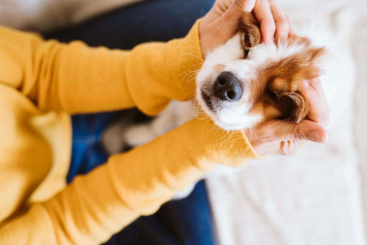 young woman comforting her dog with entropion by rubbing eyes