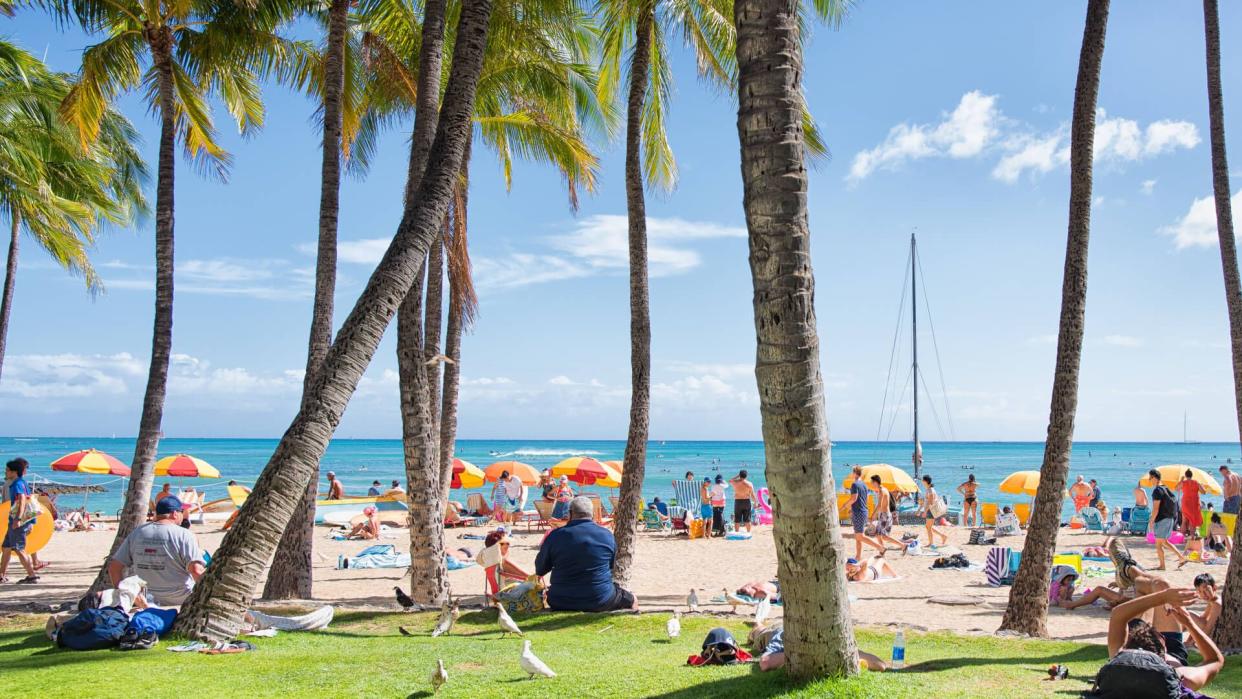 Waikiki, Oahu - August 10th 201 7, People lying on the beach sunbathing under parasol and palm trees at Waikiki shore.