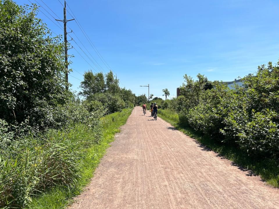 Cyclists on the Confederation Trail.