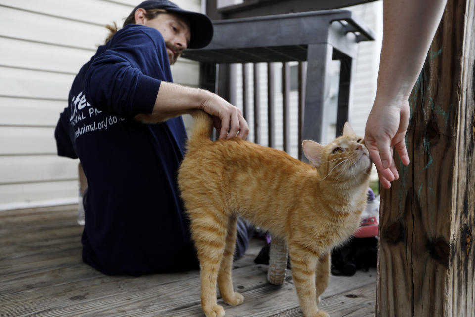 In this Tuesday, Aug. 27, 2019 photo, Brandon Jordan pets a cat while conducting door-to-door outreach for LifeLine Animal Project's Pets for Life program in Atlanta. Jordan is a community outreach coordinator who visits mostly low-income neighborhoods to explain the program's free services, such as pet supplies and vaccinations. (AP Photo/Andrea Smith)