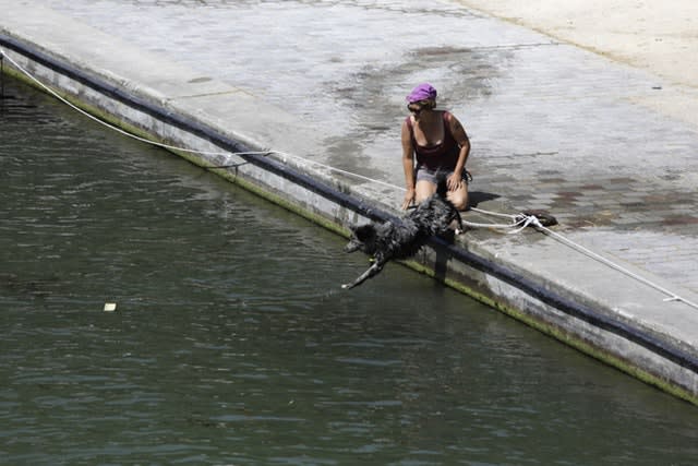 A dog jumps into the Canal de l’Ourcq in Paris, Friday, June 28, 2019. Schools are spraying kids with water and nursing homes are equipping the elderly with hydration sensors as France and other nations battle a record-setting heat wave baking much of Europe
