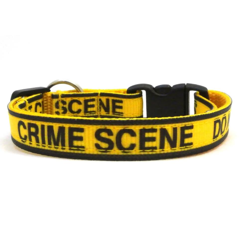 Crime Scene Halloween Breakaway Cat Collar on a white background