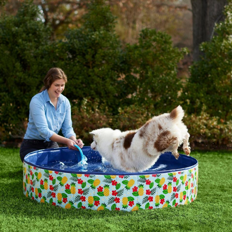 1) Frisco Hawaiian Print Dog Pool