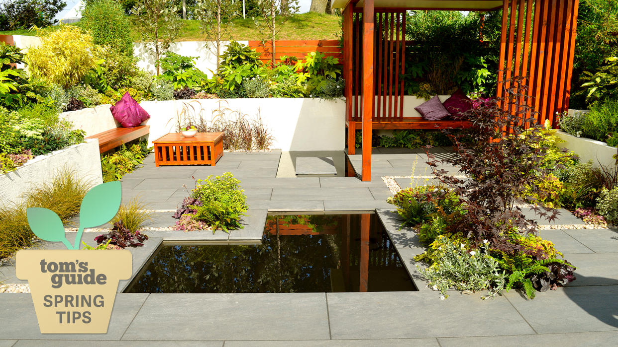  Low maintenance garden with paving and a water feature with minimal planting. 
