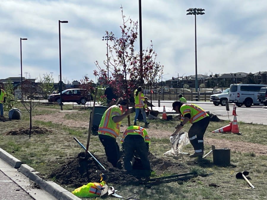 Crabapple tree planting ceremony at John Venezia Park