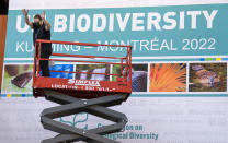 FILE - Workers set up the Montreal Convention Centre in preparation for the COP15 U.N. conference on biodiversity in Montreal, Dec. 2, 2022. Environmental leaders are gathering in Montreal to hammer out a framework they hope will help provide much-needed protection for the world's biodiversity. (Paul Chiasson/The Canadian Press via AP, File)