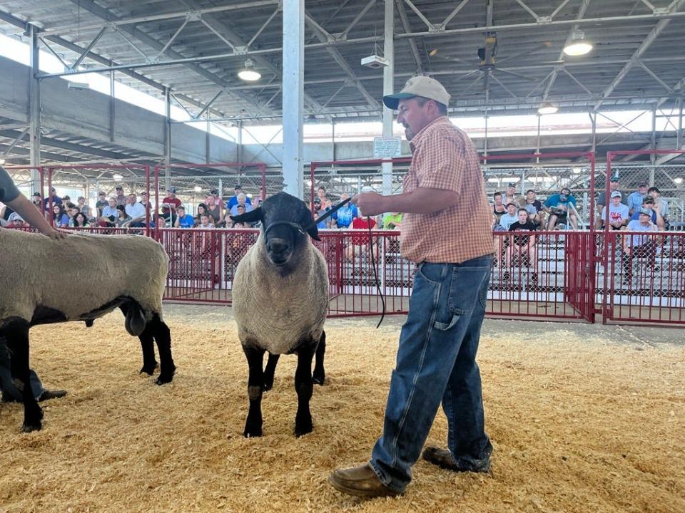 Jim Fisher poses with this year's Big Ram winner, The Bad Guy. The Bad Guy weighed 456 pounds to take home this year's prize.