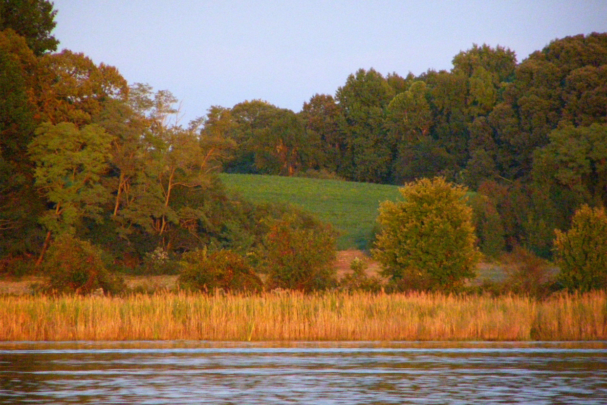 Rappahannock River Cruise: Richmond County Shoreline