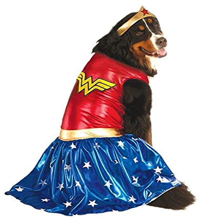 dog Wonder Woman costume
