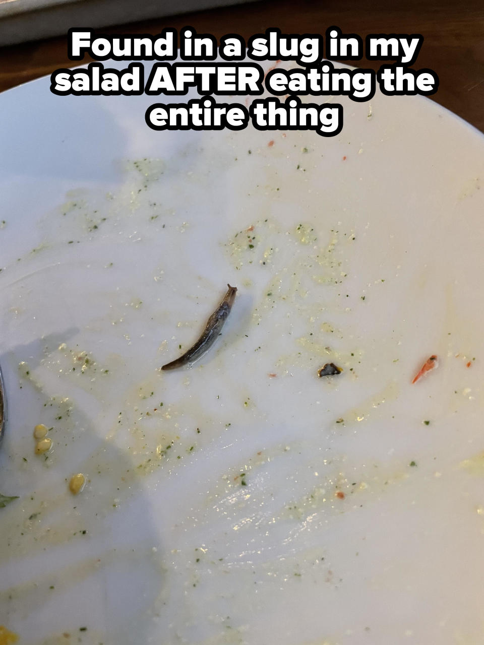 A slug on someone's empty plate
