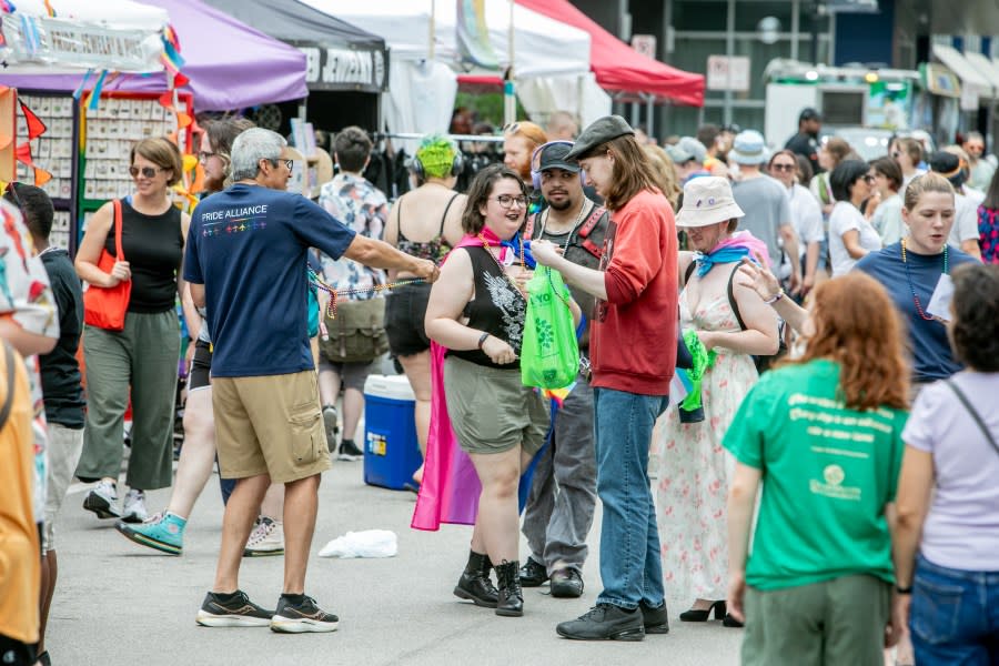 Grand Rapids Pride Festival on Saturday, June 22, 2024. (Michael Buck/WOOD TV8)