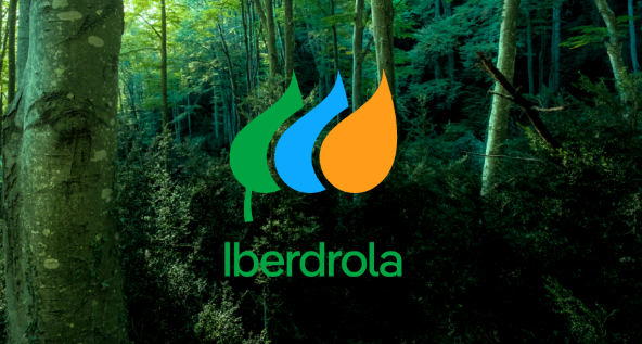 Iberdrola: Neonergia lanza una oferta por el 6,89% de Cosern y así hacerse con la totalidad del capital