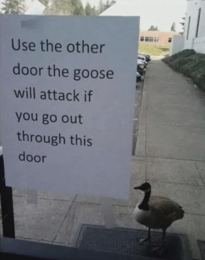 Sign on door warns: "Use the other door, the goose will attack if you go out through this door." Goose is standing outside nearby