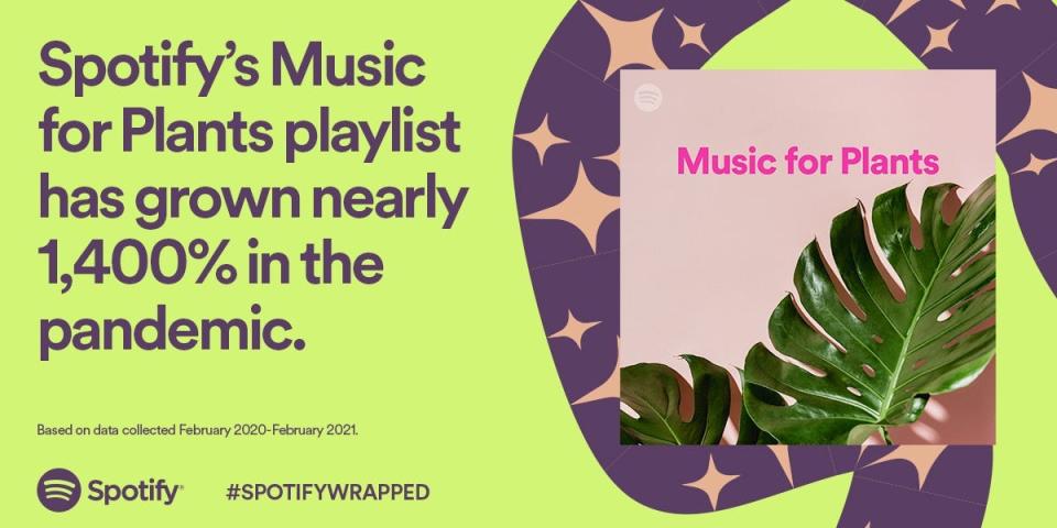 Spotify Wrapped 2021 data on playlists for plants.