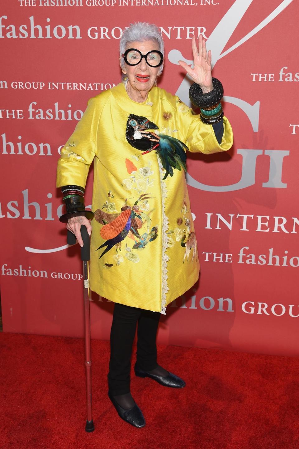 at the 2016 Fashion Group International Night Of Stars Gala at Cipriani Wall Street on October 27, 2016 (Getty Images)