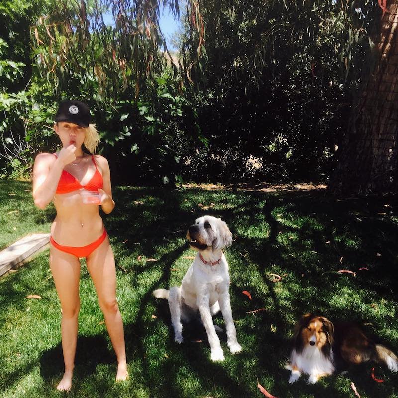 <p>Miley’s just hanging out with her man Liam Hemsworth’s dog, Dora the Explorer, in a teeny tiny red bikini. No big deal. (Photo: <a rel="nofollow noopener" href="https://www.instagram.com/p/BVnfZ9kBLwe/?taken-by=mileycyrus" target="_blank" data-ylk="slk:Miley Cyrus via Instagram;elm:context_link;itc:0;sec:content-canvas" class="link ">Miley Cyrus via Instagram</a>) </p>