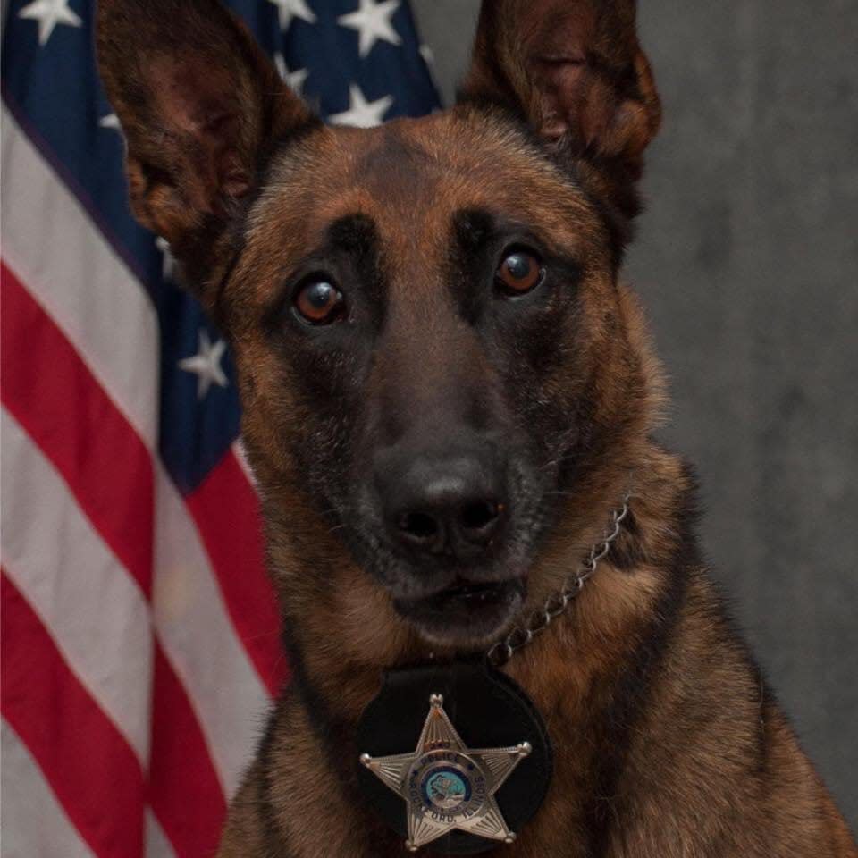 Rockford Police Department K-9 Nyx died after a shooting Sunday, Jan. 28, 2024, in Rockford.