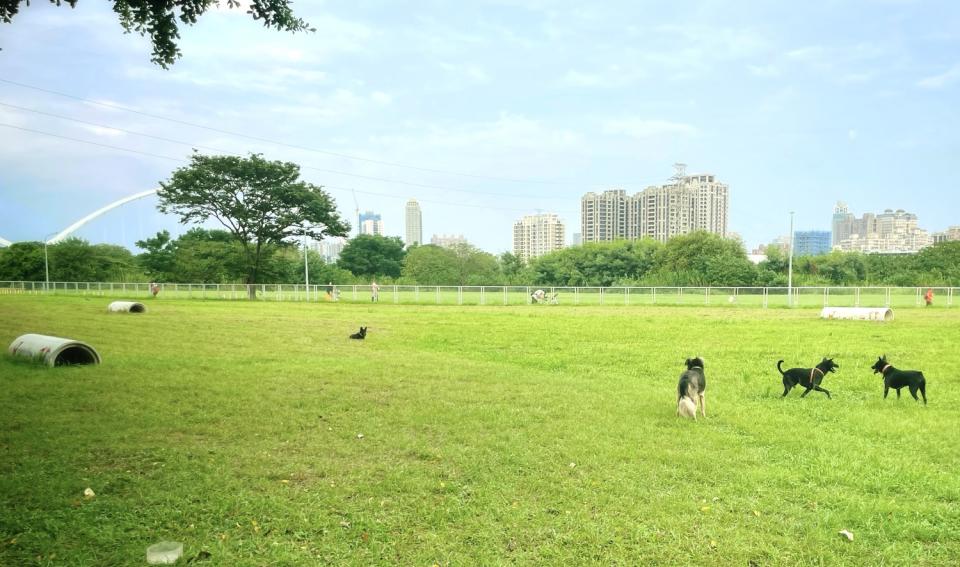 新莊寵物公園-設施草坪持續的維護讓毛孩子能安全的跑跳玩。   圖：新北市高灘處提供