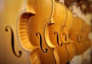 Violins are seen at Edgar Russ' workshop in Cremona, Italy, March 10, 2016. REUTERS/Stefano Rellandini