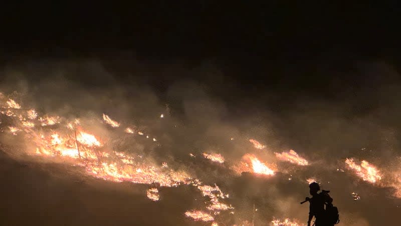 Firefighters from Dammeron Valley Fire & Rescue are pictured at the Silver King Fire in the Fish Lake National Forest Sunday, July 6 2024. The fire is one of several burning across the state this week.