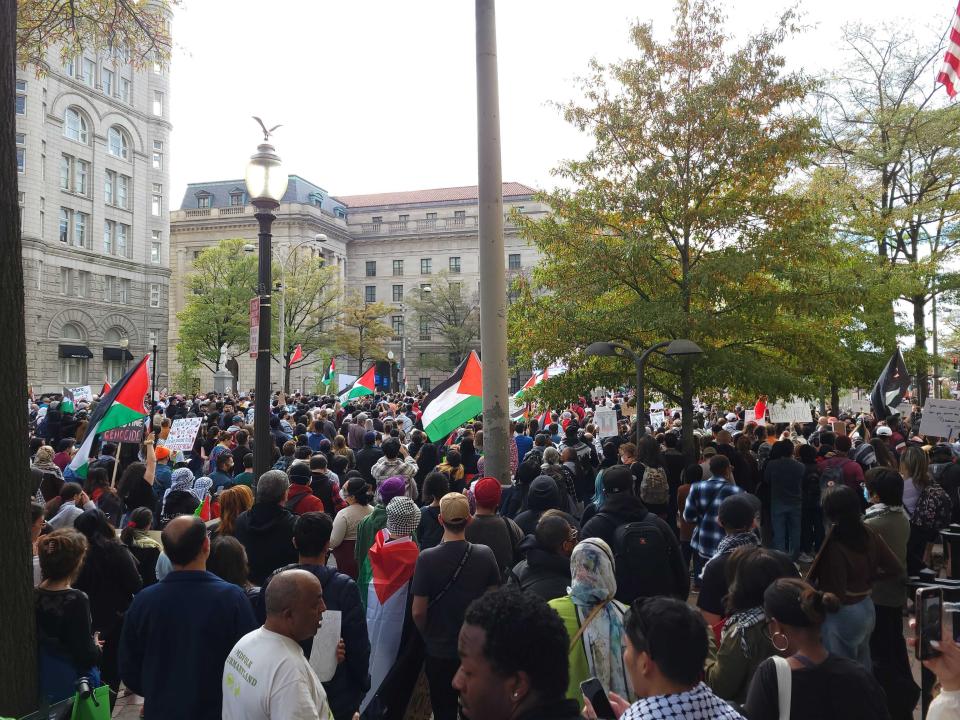 Rally attendees listen to a speech in downtown Washington, DC (John Bowden / The Independent)