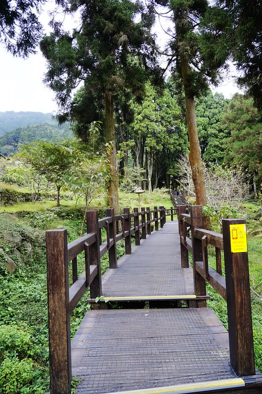 嘉義阿里山｜奮起湖老街