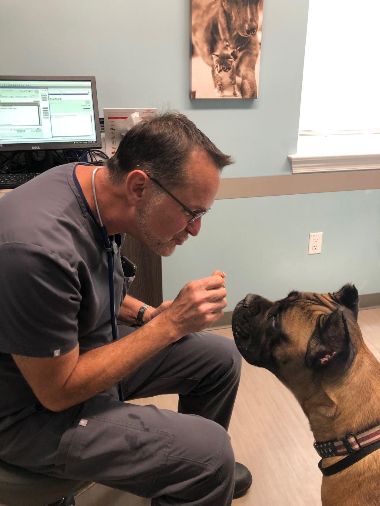 Though being a veterinarian can be stressful, Rossi finds it “more rewarding than anything.” (Courtesy of Dr. Joseph Rossi)