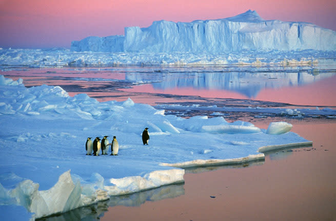 <p><em>It's still the trip of a lifetime, 100 years after Shackleton's heroic journey</em></p> <p><strong>Why Go Now:</strong> With its stark and sometimes dangerous beauty, and engaging wildlife like seals and penguins, Antarctica is one of Earth's incredible untamed frontiers—and irresistible to explorers and travelers. In 1914 Sir Ernest Shackleton began his Imperial Trans-Antarctic Exploration, hoping to cross from one side of Antarctica to the other. His ship, the <em>Endurance</em>, sank, but Shackleton and five others rowed 800 nautical miles and then returned to rescue the others. This saga's 100-year anniversary is the perfect time to consider an Antarctic cruise aboard the deluxe or . </p> <p><strong>Insider Tip: </strong>Reading lists, like packing lists, are vital for this journey. Shackleton's  is a classic, while Sarah Wheeler's more recent   vividly describes the journalist's seven-month Antarctic stay. Original photographs from Robert F. Scott's and Ernest Shackleton's expeditions reproduced in   convey the continent's majesty. </p> <p><strong>When to Go: </strong>November through March, the Southern Hemisphere's summer, is the window for Antarctic cruises. November is quieter (fewer visitors at sites) but colder, with impressive icebergs. December and January are popular because of the long days and baby penguins on view. From mid-February through March you see more whales—but fewer penguins. </p> <p><strong>Plan Your Trip: </strong>Start planning using Fodor's , and read a from our community. Plan the time before or after your cruise with Fodor's and guides. <em>–Linda Cabasin</em></p>