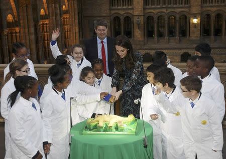 Britain's Catherine, Duchess of Cambridge cuts a cake with pupils from Oakington Manor Primary School, watched by Museum Director Sir Michael Dixon (REAR C), as she attends a children's tea party , to celebrate Dippy the Diplodocus's time in Hintze Hall, at the Natural History Museum in London, Britain November 22, 2016. REUTERS/Yui Mok/Pool